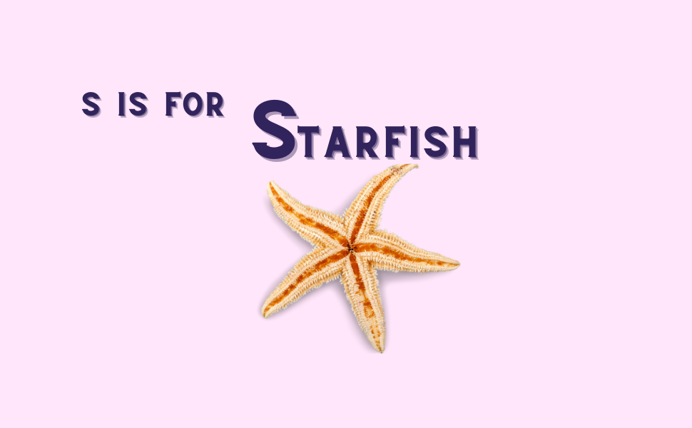 Alphabet of the sea