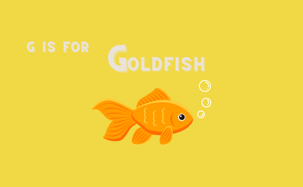 Alphabet of the sea